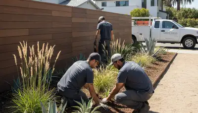 Landscape design and installation services in San Jose, CA